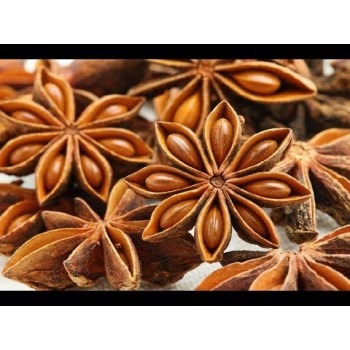 Anason Aroması ( aNisE )