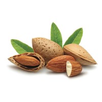 Badem Aroması ( aLMonD )