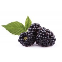 Böğürtlen Aroması ( bLackBeRrY )